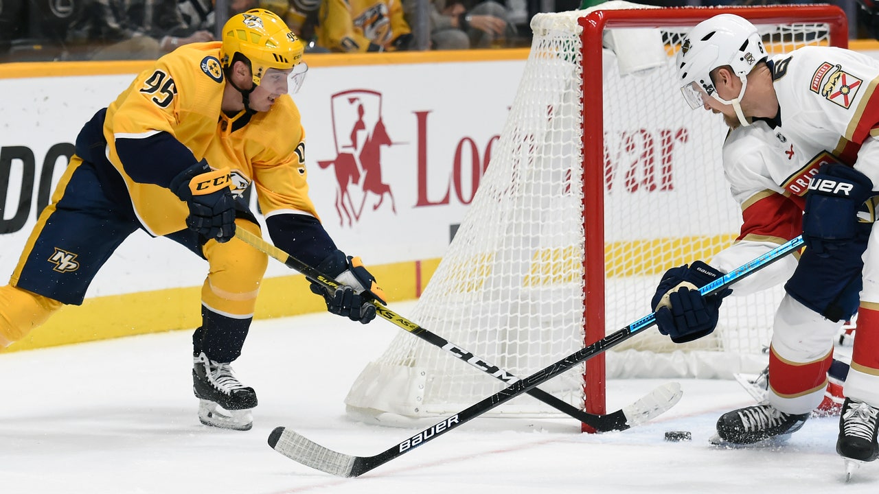 Trocheck's shootout goal gives Panthers 3-2 win over Preds